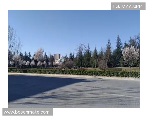 滑板人生的轨迹与梦想对话周敏分享她的成长与挑战